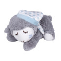 Peluche bouillote